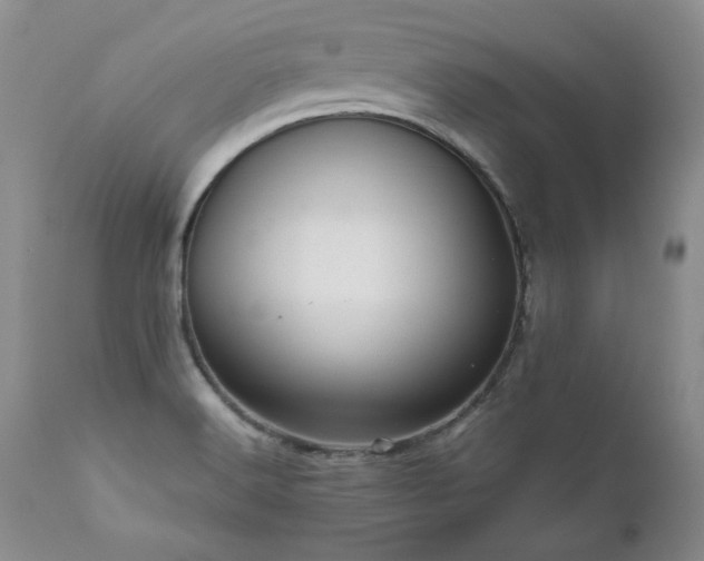 X0000111161516200906301348