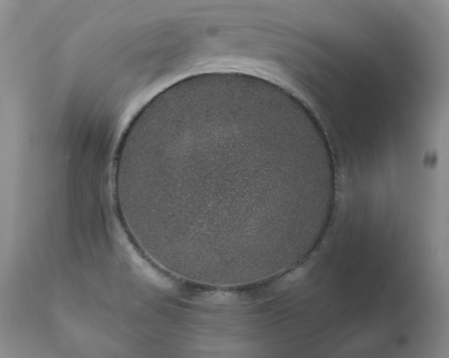 X0000111161517200906301348