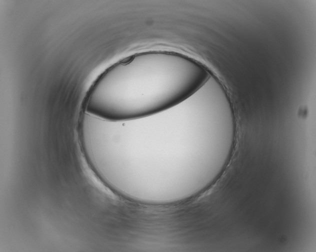 X0000111161518200906301348