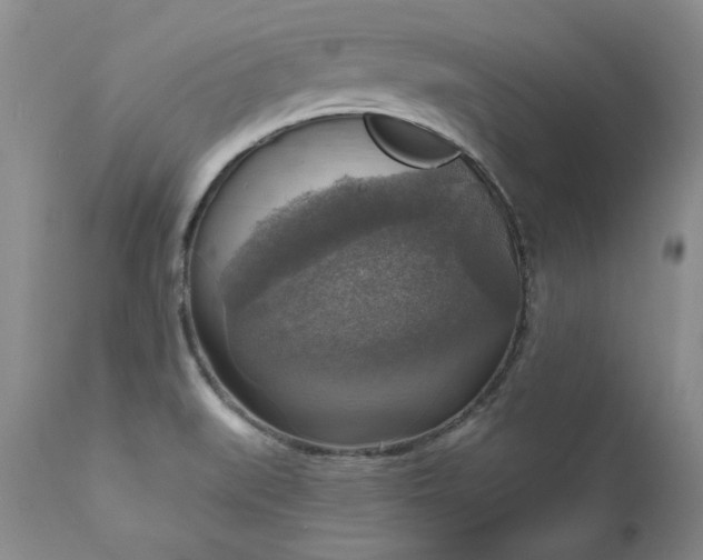 X0000111161519200906301348