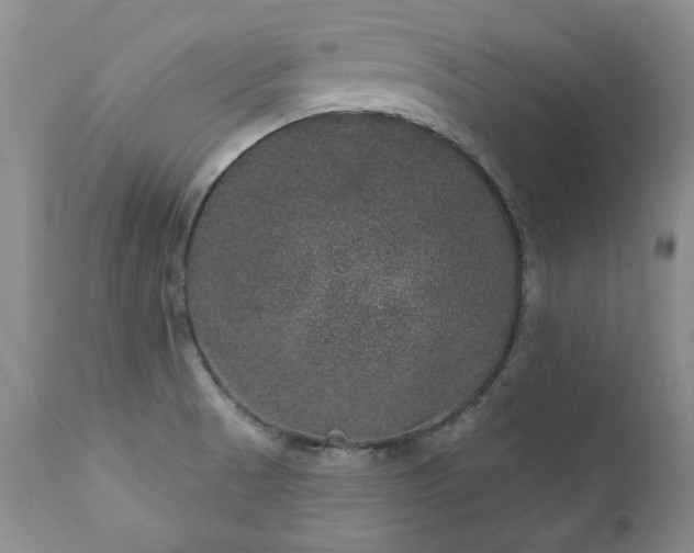 X0000111161521200906301348
