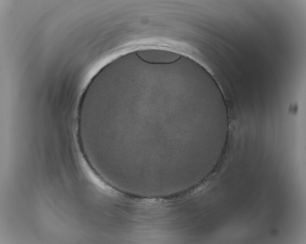 X0000111161523200906301348