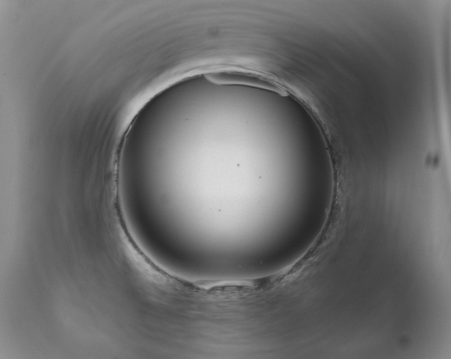 X0000111161524200906301348