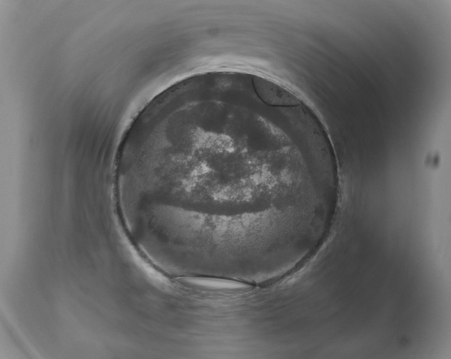 X0000111161525200906301348