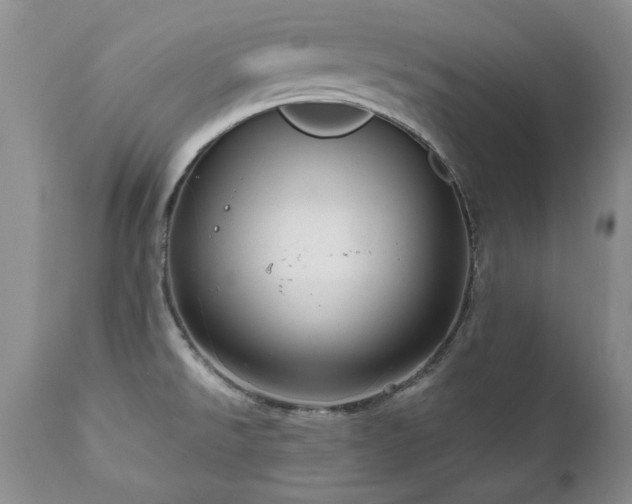 X0000111161526200906301348