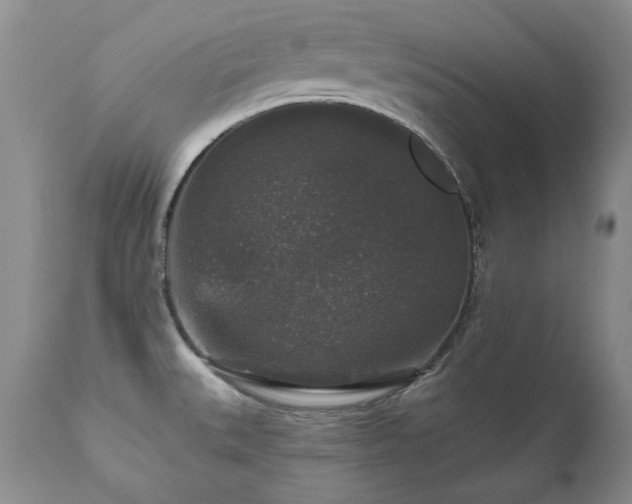 X0000111161527200906301348