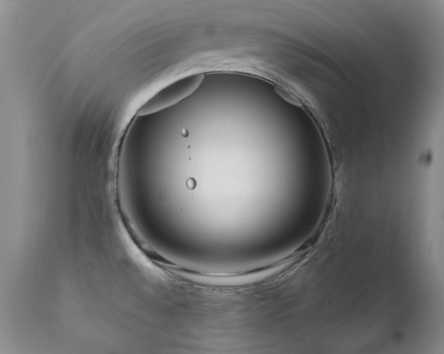 X0000111161528200906301348