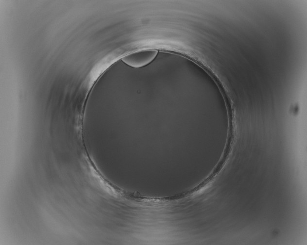 X0000111161529200906301348