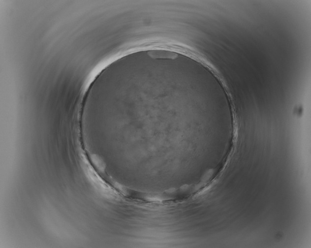 X0000111161530200906301348