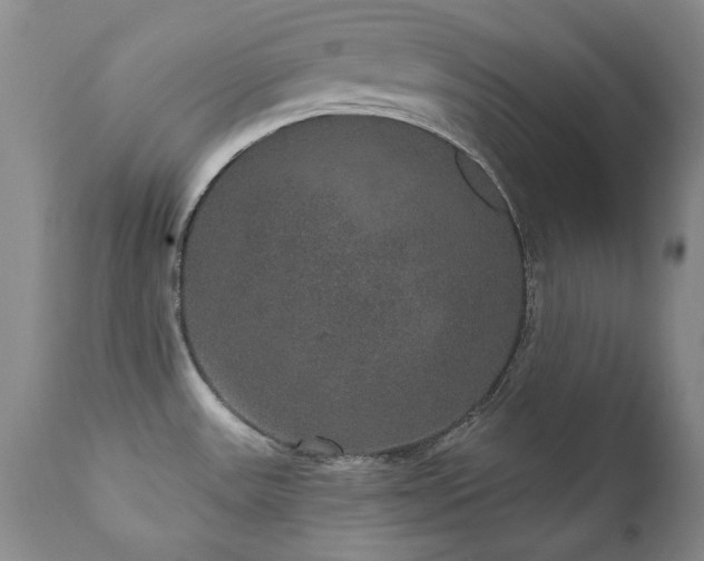 X0000111161531200906301348