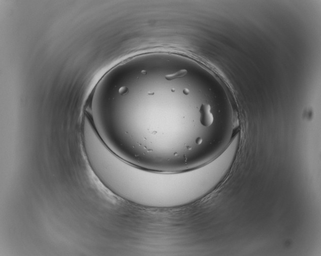 X0000111161532200906301348