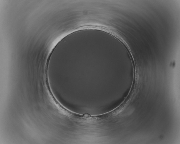 X0000111161533200906301348