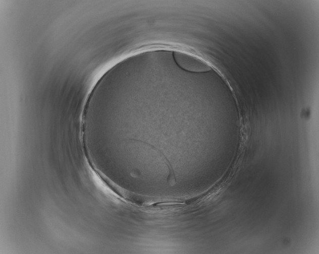 X0000111161535200906301349