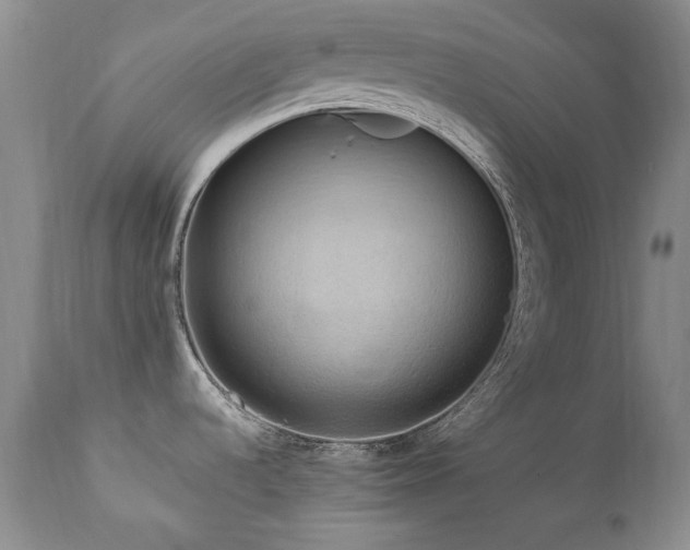 X0000111161536200906301349