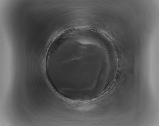 X0000111160002200907071138