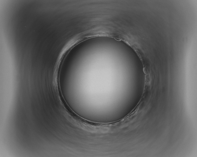 X0000111160004200907071138