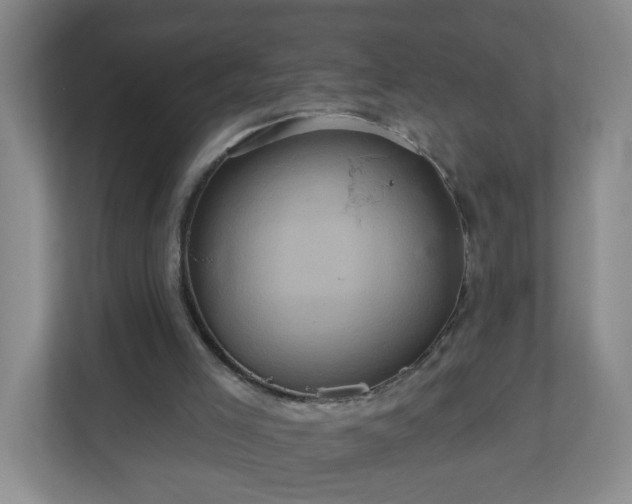 X0000111160005200907071138