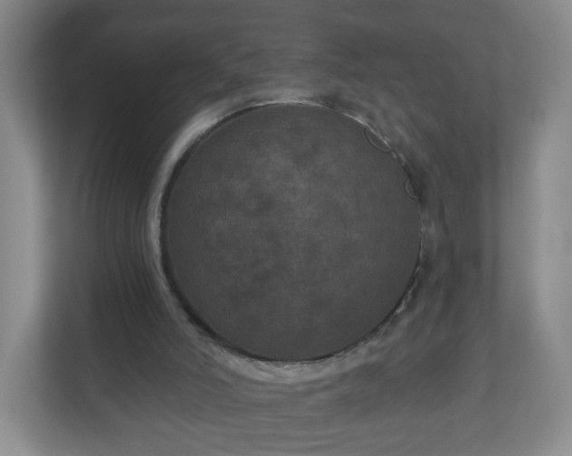 X0000111160006200907071138