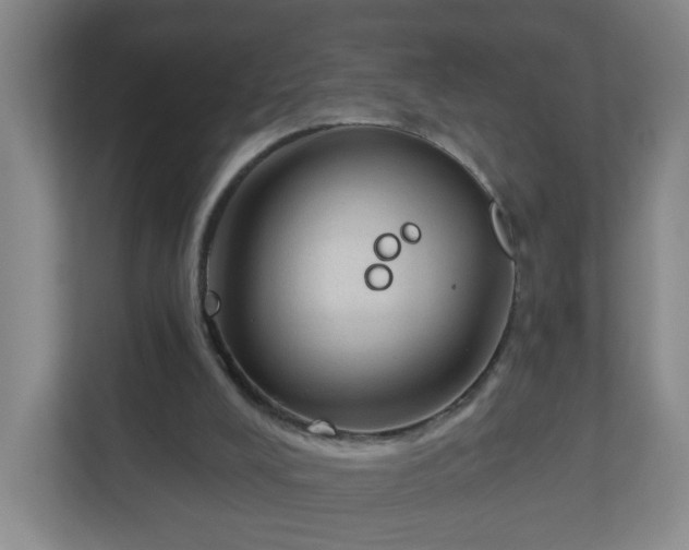 X0000111160008200907071138