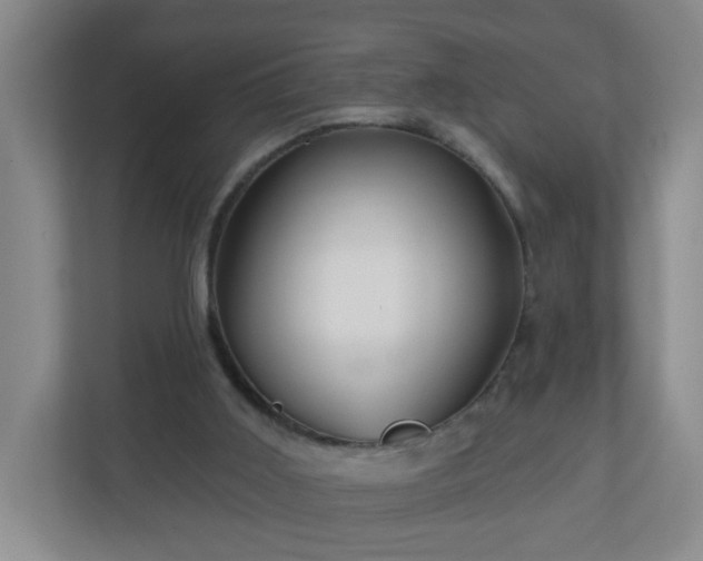 X0000111160011200907071138