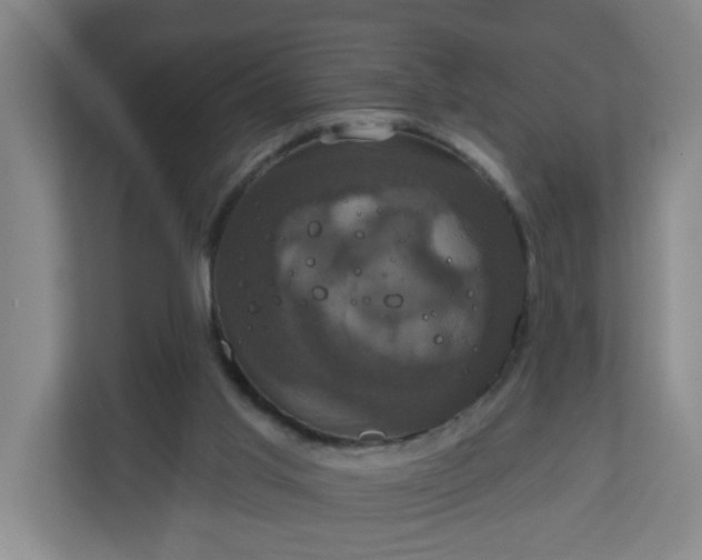 X0000111160013200907071138