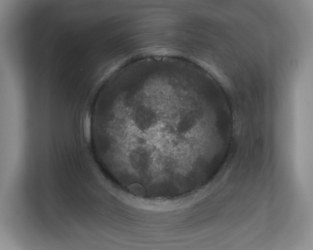 X0000111160014200907071138