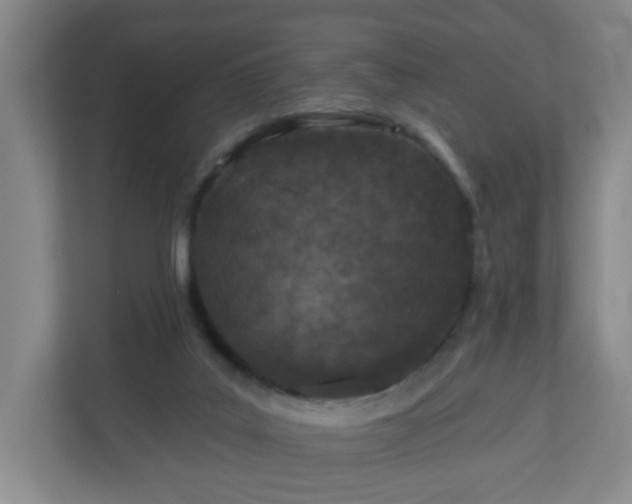 X0000111160019200907071138