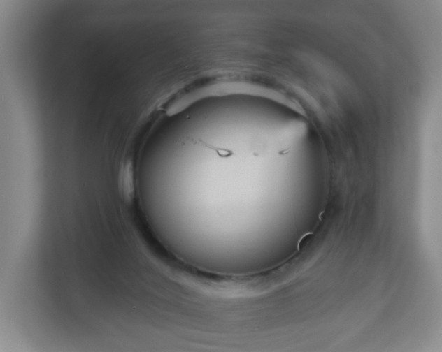 X0000111160020200907071138