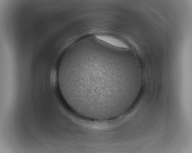 X0000111160024200907071138