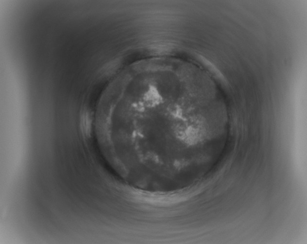 X0000111160026200907071138