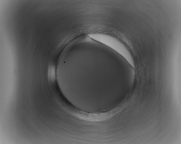 X0000111160027200907071138