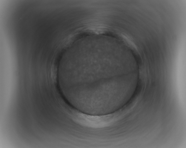 X0000111160030200907071138