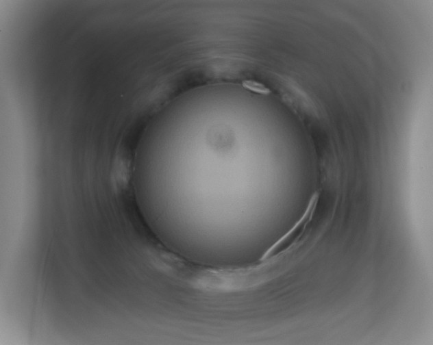 X0000111160033200907071138