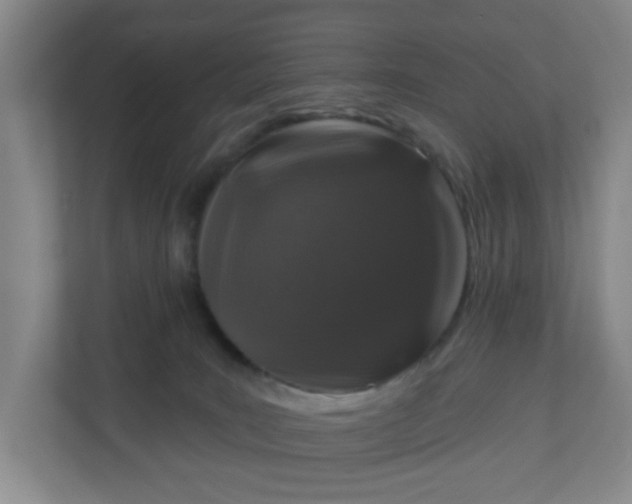 X0000111160035200907071138