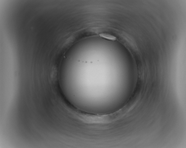 X0000111160036200907071138