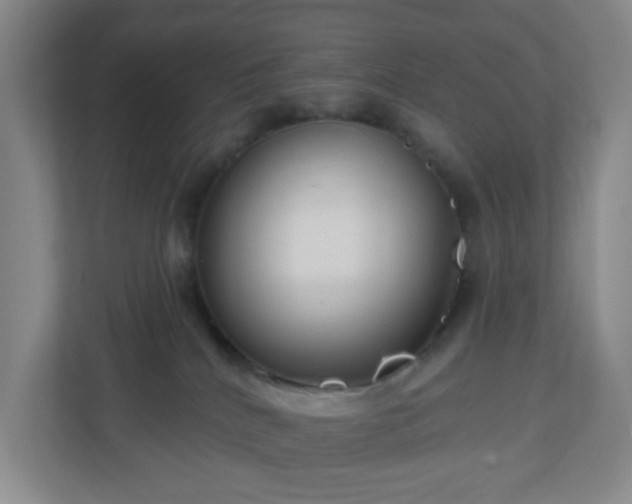 X0000111160040200907071138