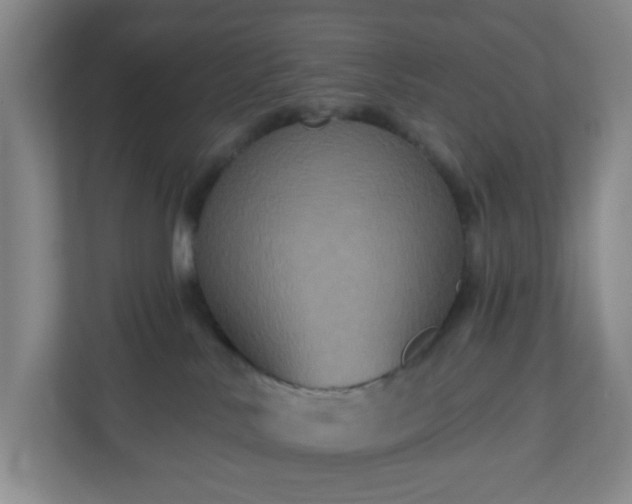 X0000111160042200907071137