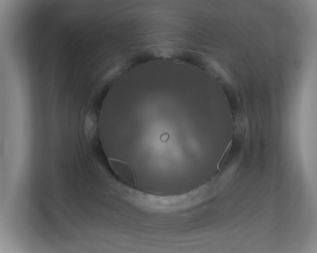 X0000111160043200907071137