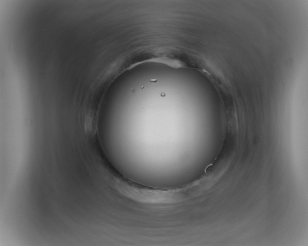 X0000111160044200907071137