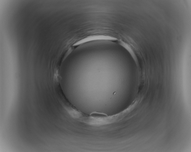 X0000111160045200907071137