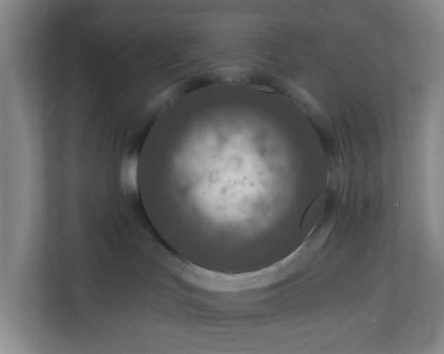 X0000111160047200907071137