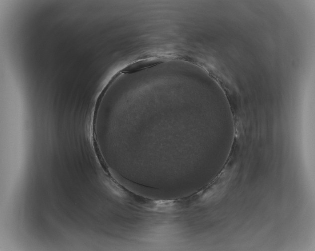 X0000111160052200907071137