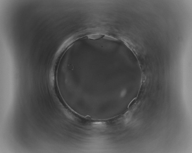 X0000111160053200907071137