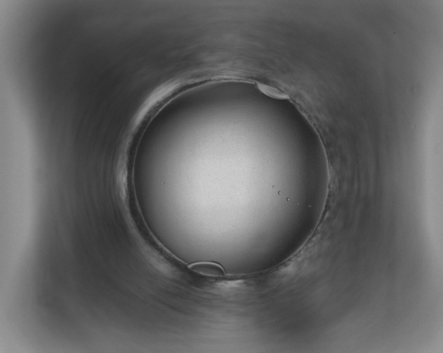X0000111160054200907071137