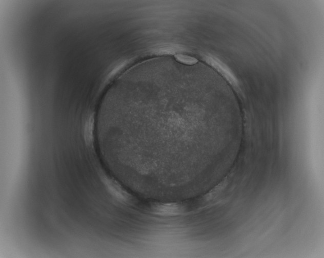 X0000111160058200907071137