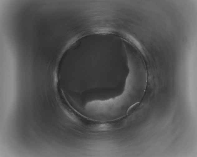 X0000111160059200907071137