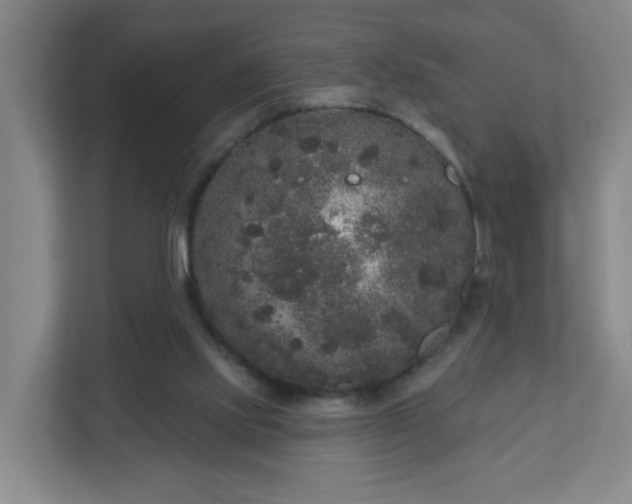 X0000111160061200907071137