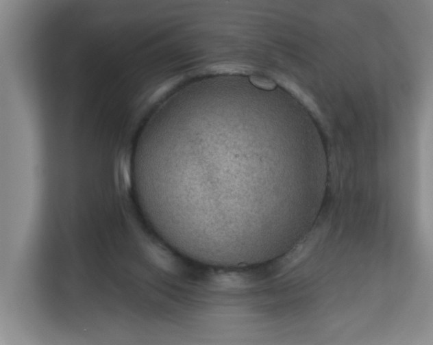 X0000111160062200907071137