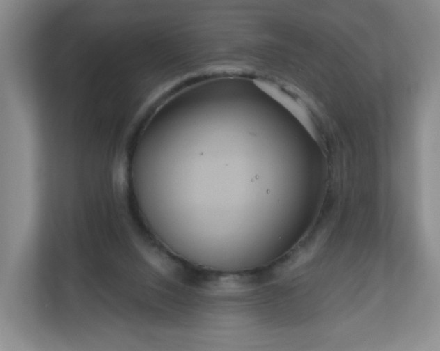 X0000111160064200907071137