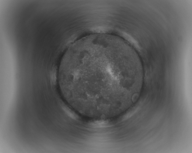 X0000111160065200907071137